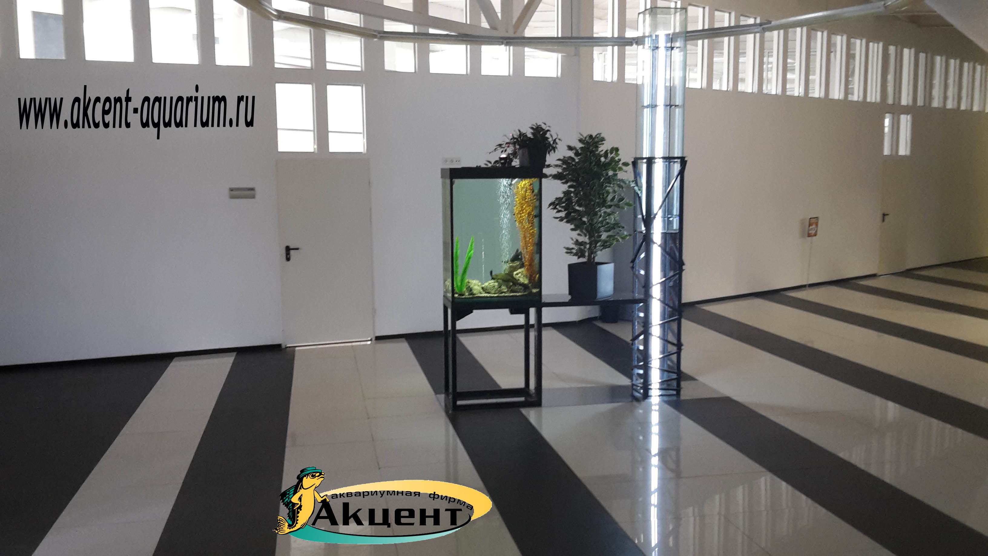 Акцент-аквариум, аквариум 300 литров просмотровый со всех сторон